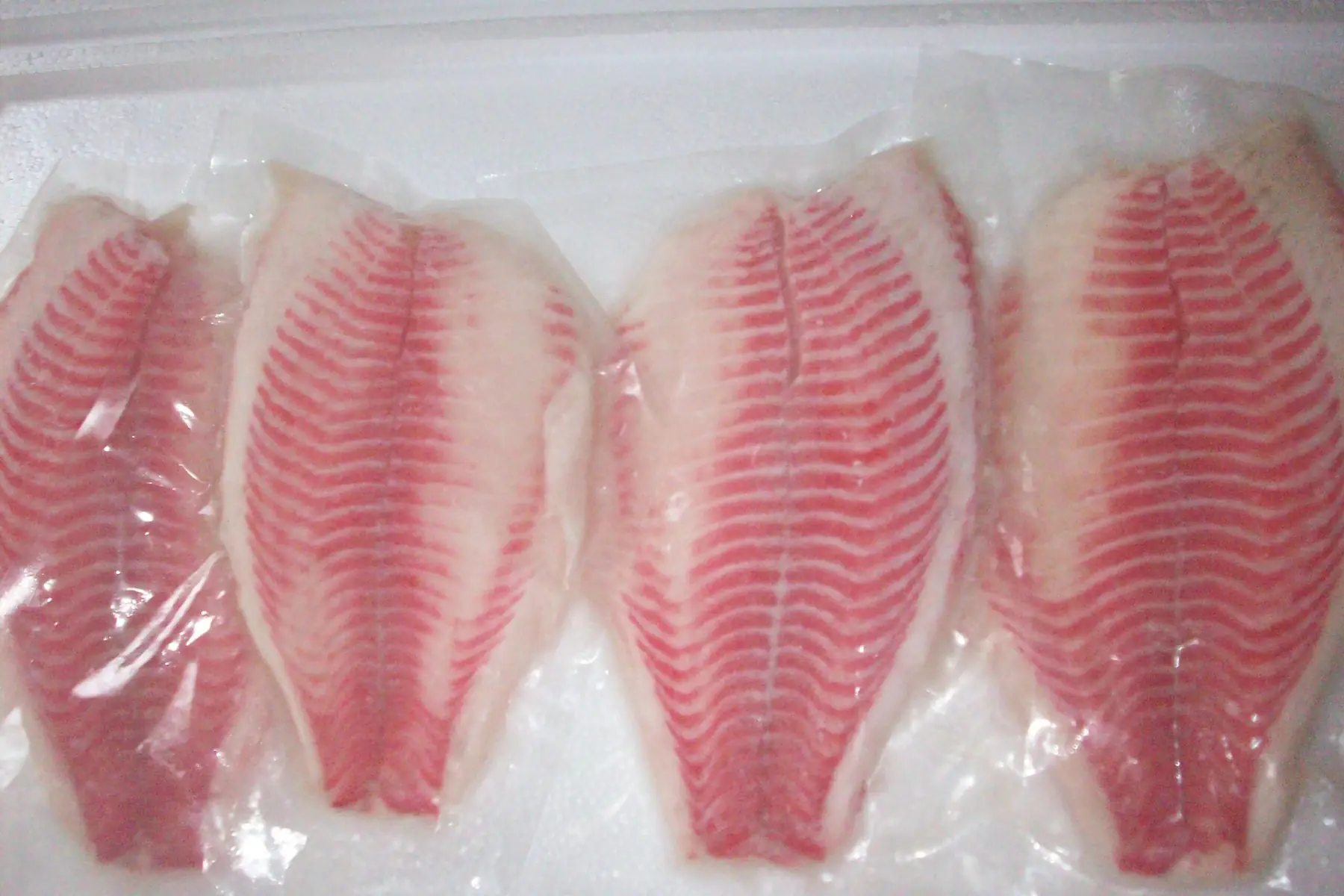 Boneless skinless tilapia fillets vacuum packed in rows