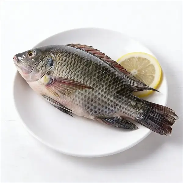 Ganzer Tilapia, überzogen mit Zitrone, mit festem Körper und schuppiger Haut