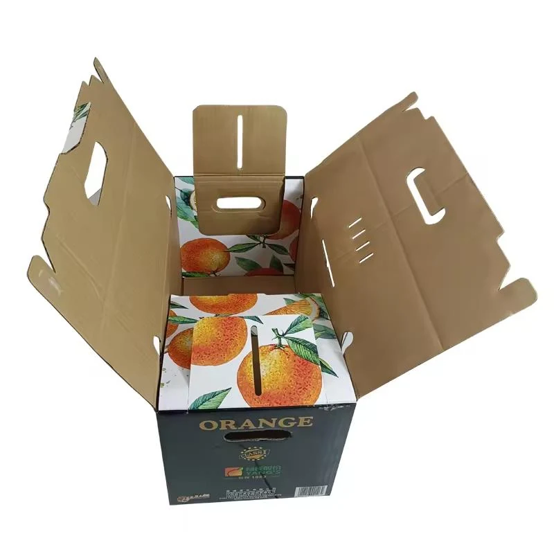 **Corrugated Cardboard Boxes for Fruit and Vegetable Packaging** 6
