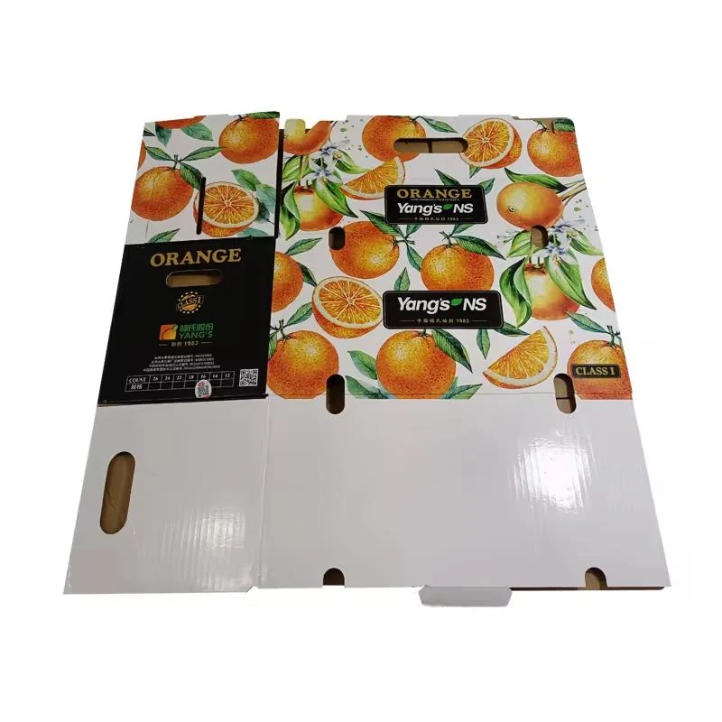 **Corrugated Cardboard Boxes for Fruit and Vegetable Packaging** 7