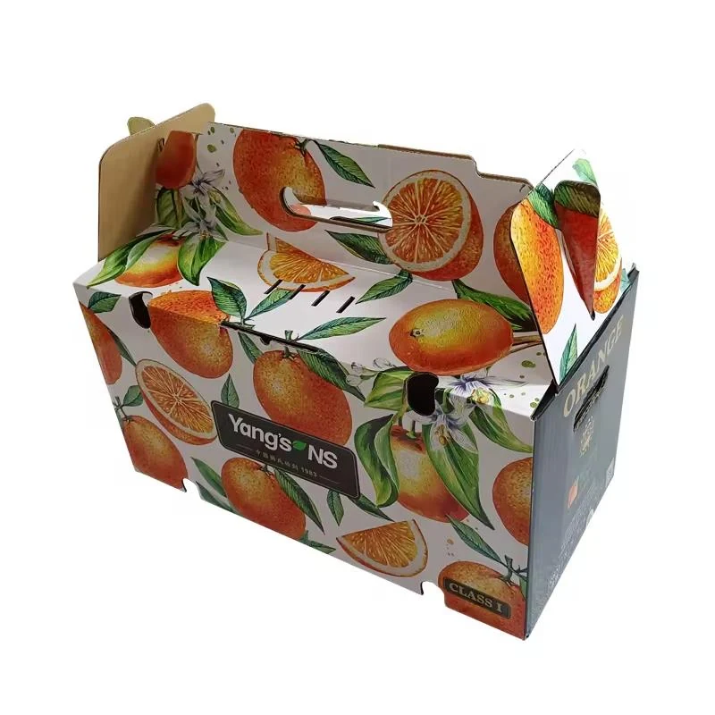 **Corrugated Cardboard Boxes for Fruit and Vegetable Packaging**
