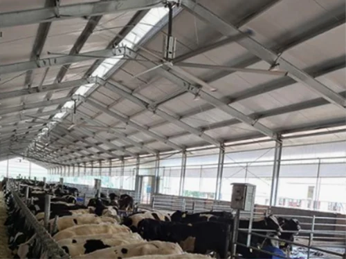 Celeiro de laticínios free-stall com ventiladores HVLS em toda a extensão do prédio