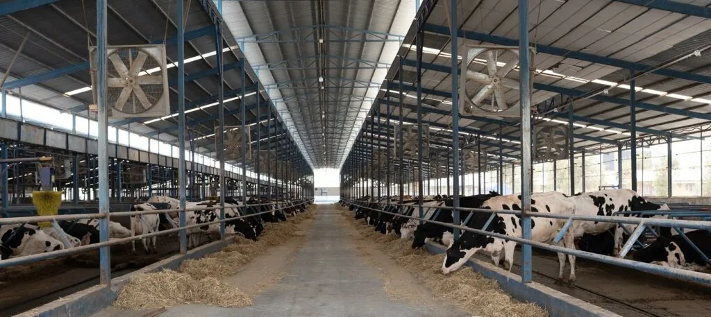 Ventilador de exaustão de parede industrial mostrado em um ambiente industrial