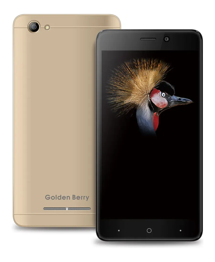 Golden Berry GB