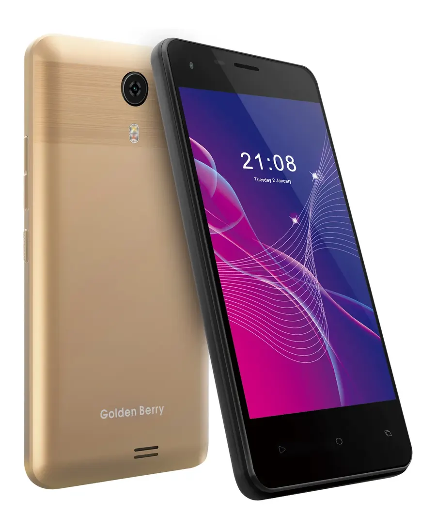 Golden Berry GB1401