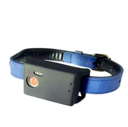 4G Pet GPS Tracker D50