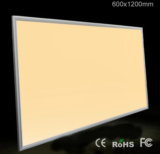 CCT Adjustable LED Panel light 600*1200 view 2
