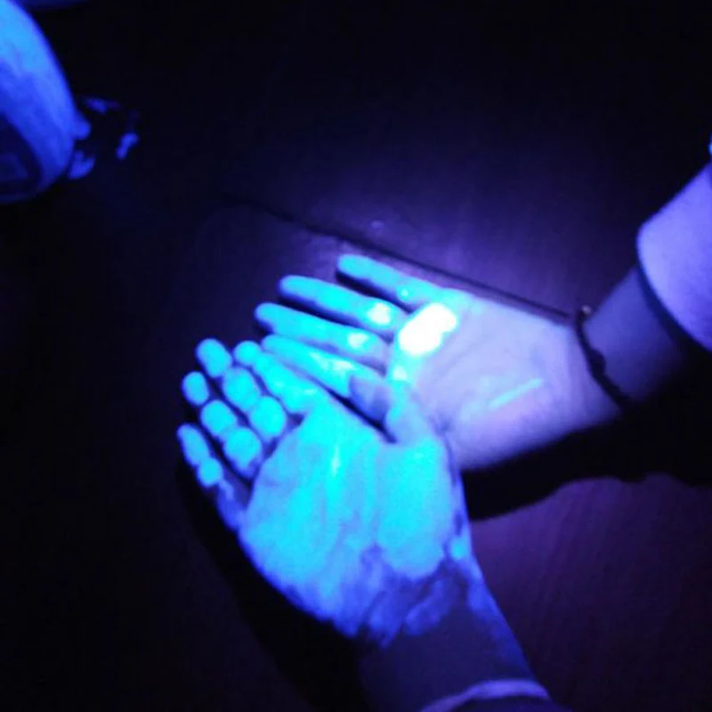 Mini 365nm UV Flashlight view 4