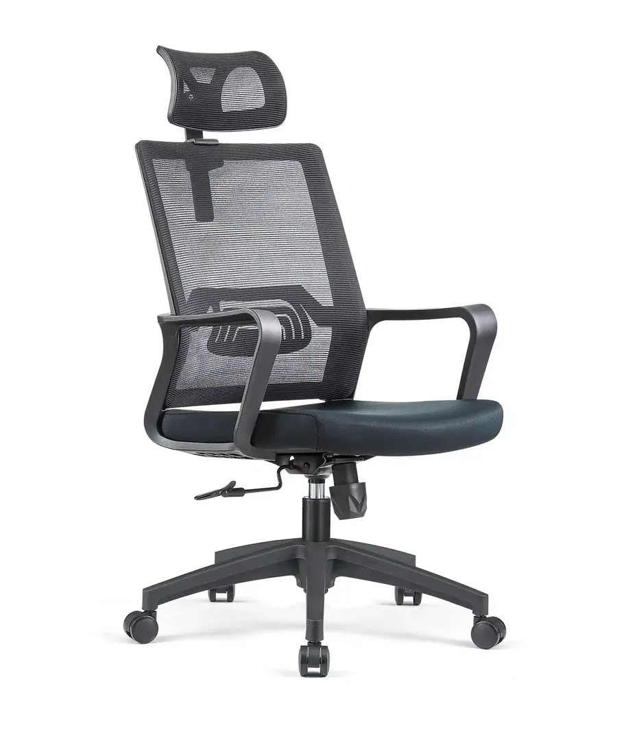 Mesh Computer Chair, 1901 Series