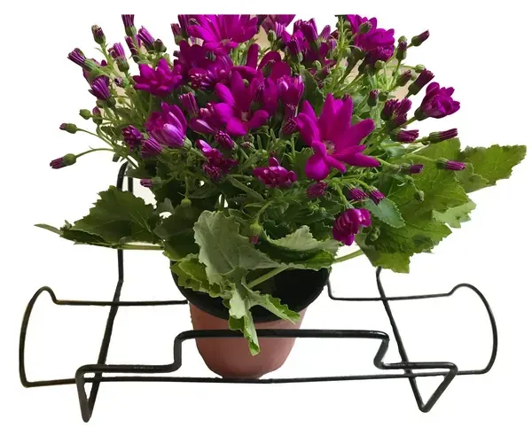 Iron Holder and Stand For Flower