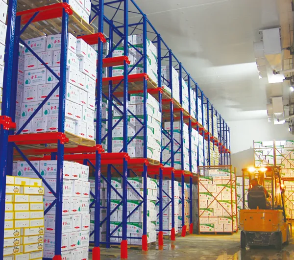 Export cartons in cold storage