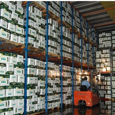 Kühllager mit gestapelten Exportkartons