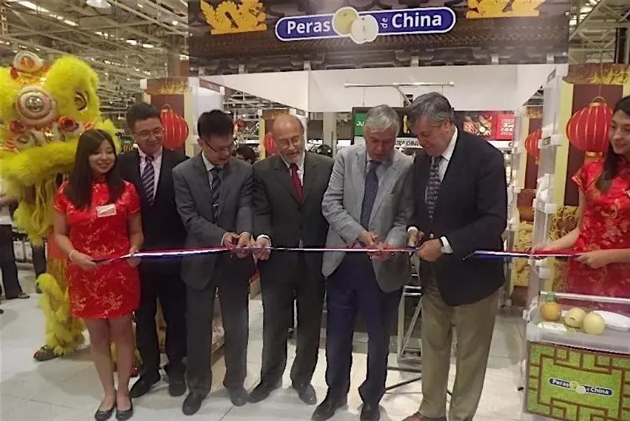 Frische Birnen aus Hebei glänzen in Chile