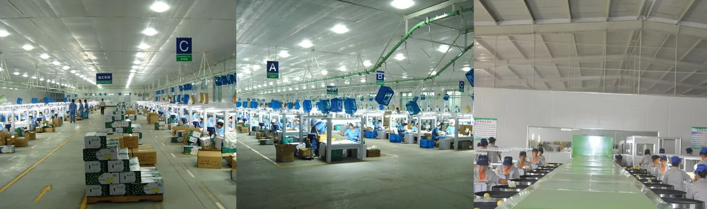 Packing And Processing