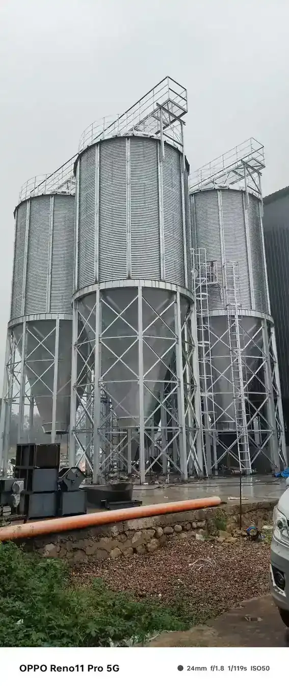 Poultry Feed Cone Granary