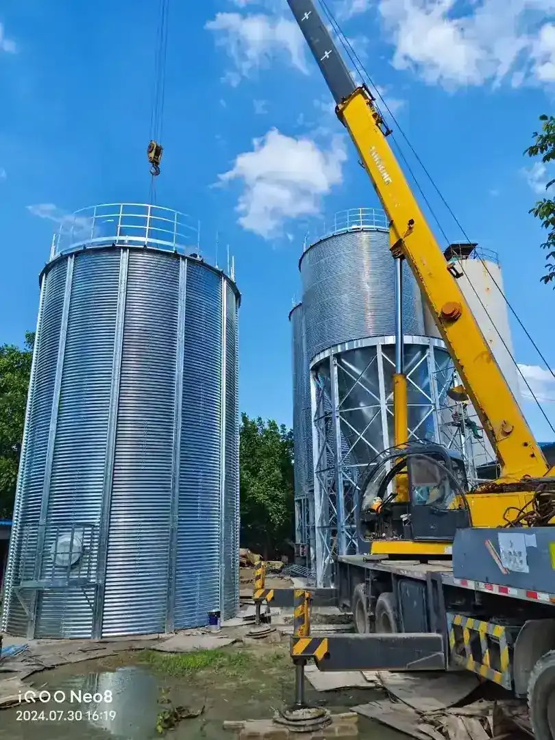 Cone Bottom Silo With Concrete Foundation