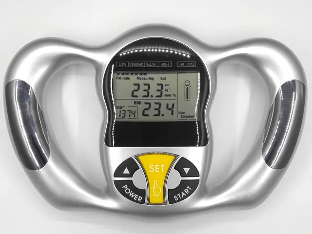 Body fat scale