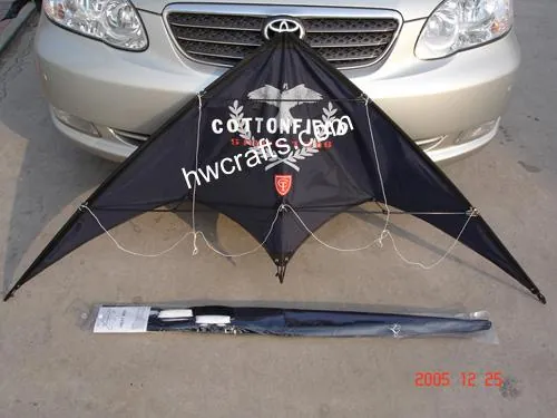 Sport Kite CXFZ0008