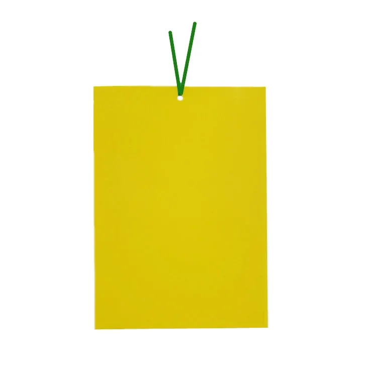 Yellow Sticky Insect Trap NRTG022
