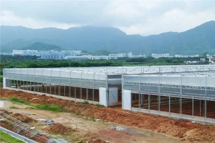 Openable Roof Film Greenhouse
