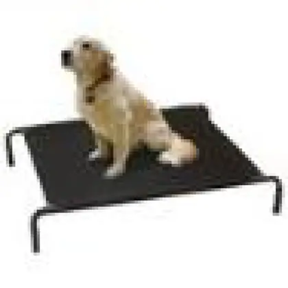 Bed Pet Off the Ground Medium