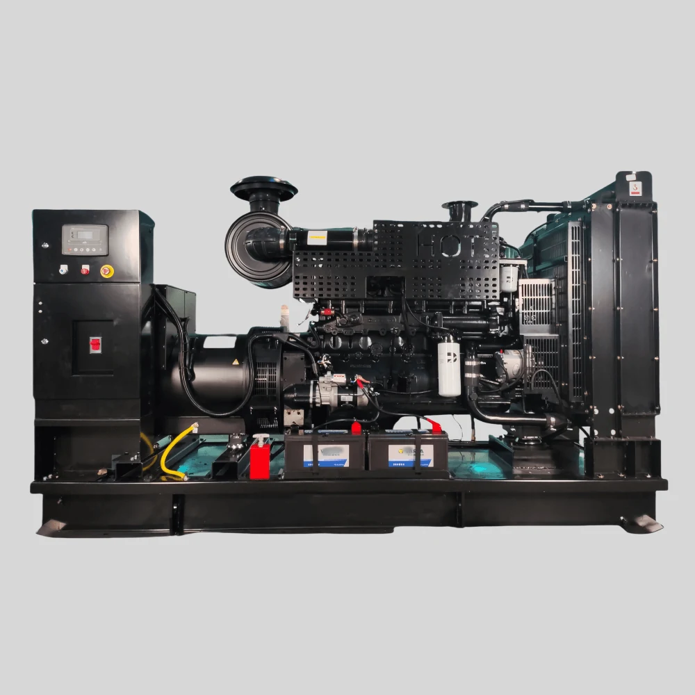 Cummins NTA855-G1B 250KW 312.5KVA Generator shown from another angle