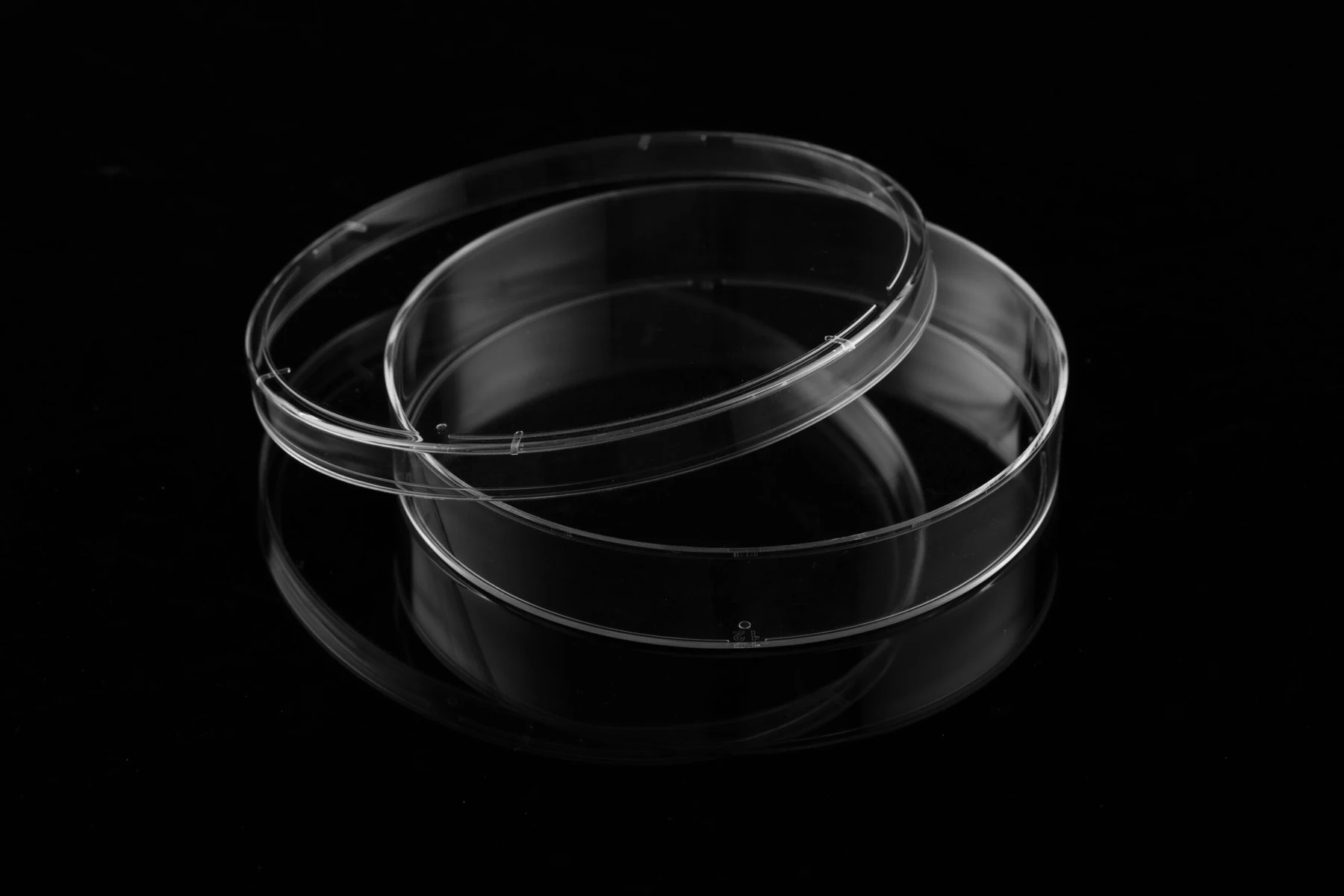Cell Culture Dish product photo 5