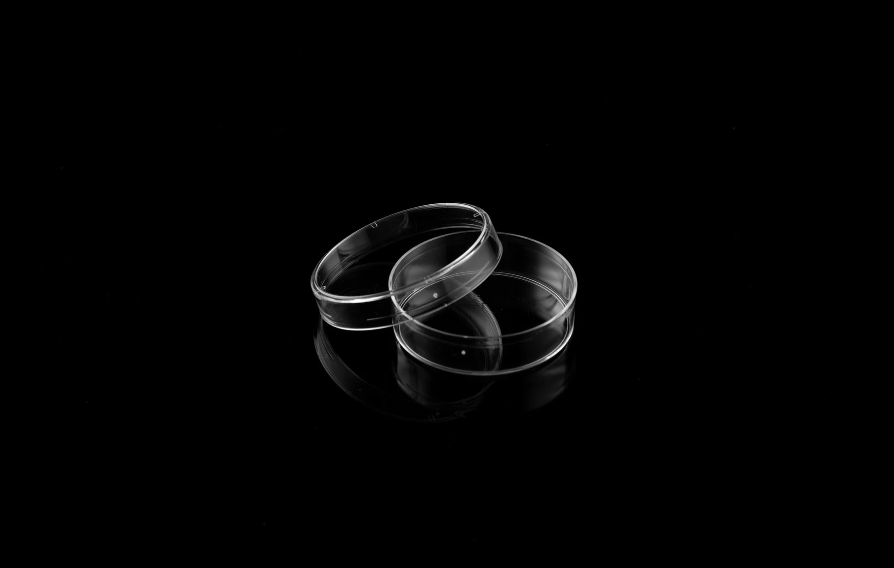 Cell Culture Dish product photo 2