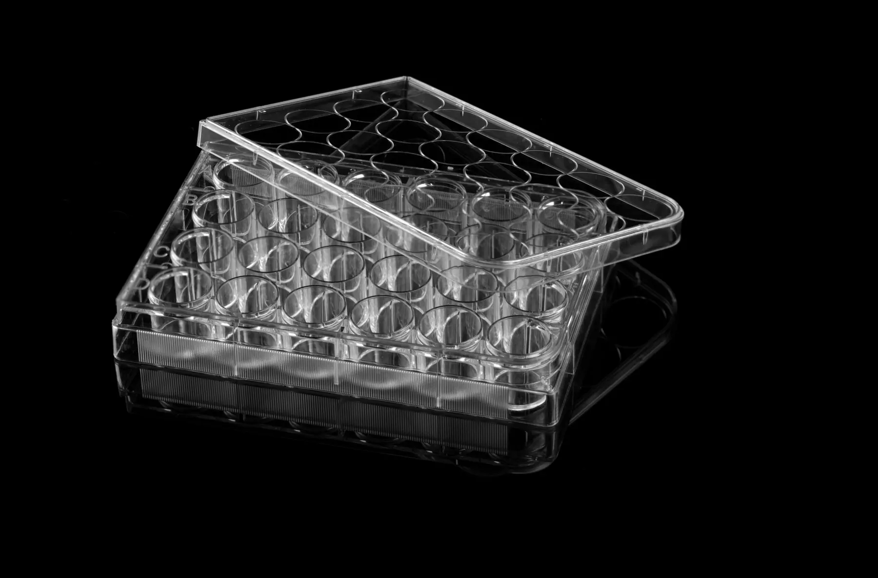Culture-plate product photo 5