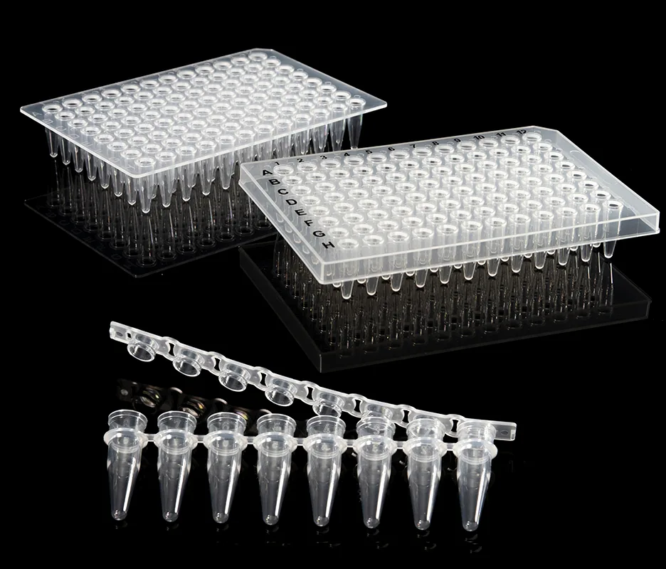 PCR-Platte für den Laborgebrauch