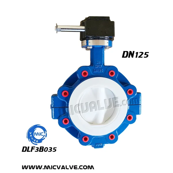 DLF3B035 DN125 anti-corrosive lug type butterfly valve with hand lever and threaded lugs