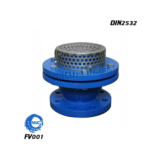 FV001 foot valve DIN2532 PN16 with integrated strainer, installed vertically with inlet facing down