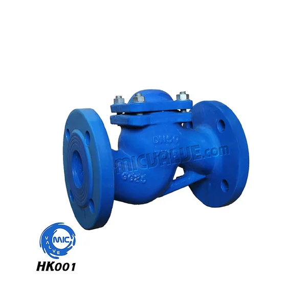 HK001 DIN cast iron lift check valve with flanged connections and flow arrow marking