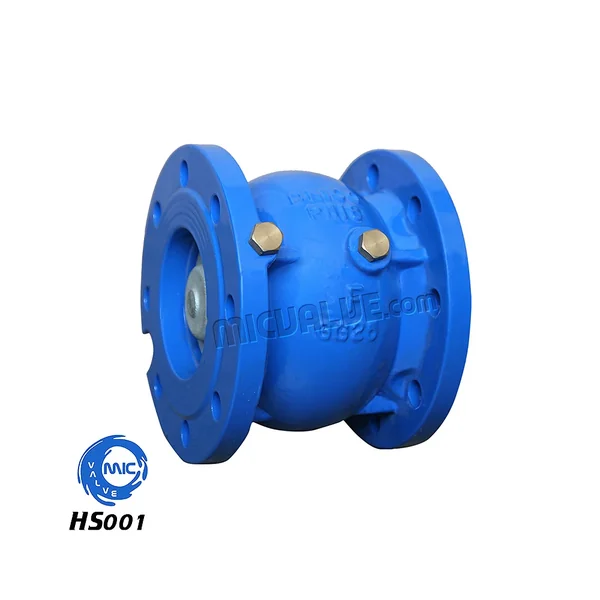 HS001 flanged silent check valve in cast iron with DIN flanges, PN16, showing body and flange connection
