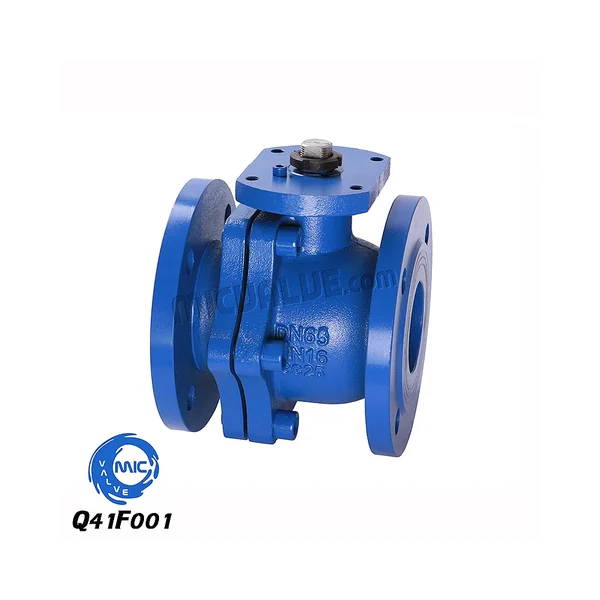 Q41F001 two-piece flanged ball valve in cast iron with flanged ends and manual lever