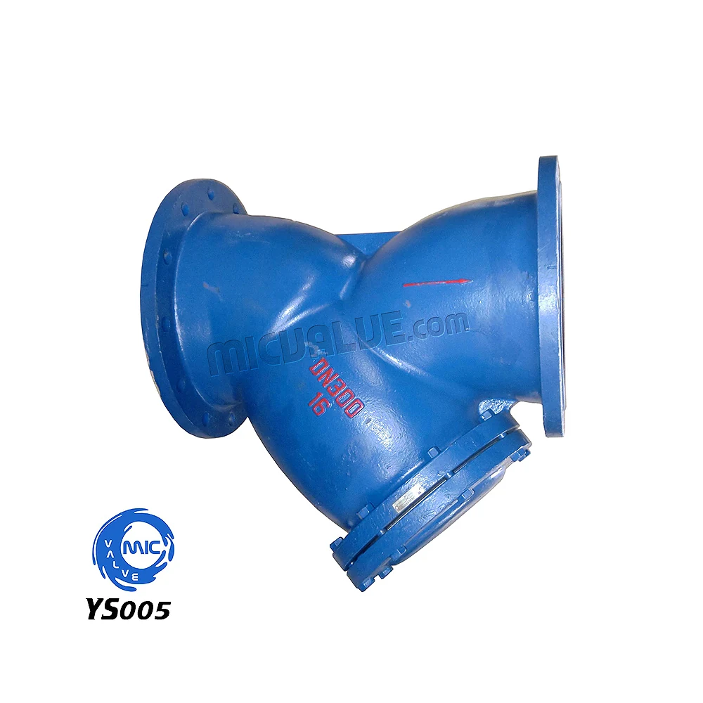 YS005 DN300 Y type strainer with DIN PN16 flanges, showing the removable screen cover and Y-shaped body
