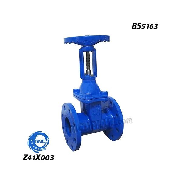 Z41X003 OS&Y resilient seated gate valve with visible rising stem and handwheel