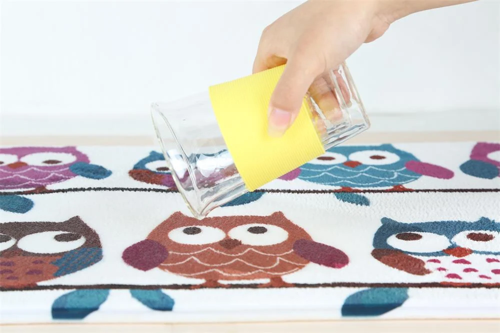 Superabsorbency Printed Coral Fleece Door Mat extra photo