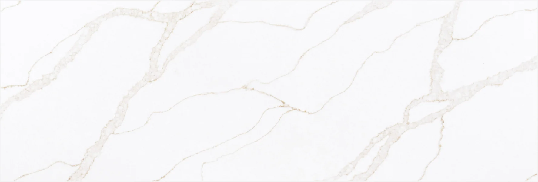 8260 ASRX 2025 Collection slab