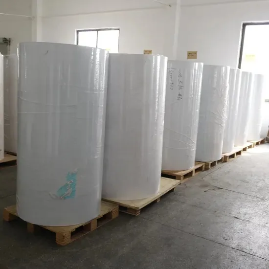 Label jumbo roll of coated paper laminate with white glassine liner
