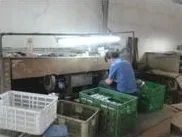 トリミングおよび仕分け工程。ショットを切り離し、バリを取り、部品番号ごとに区分けしてか