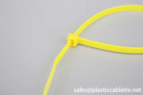DM-2.5*100 2.5*120 2.5*150 2.5*160mm full approved Nylon material cable strip ties sizes view 5