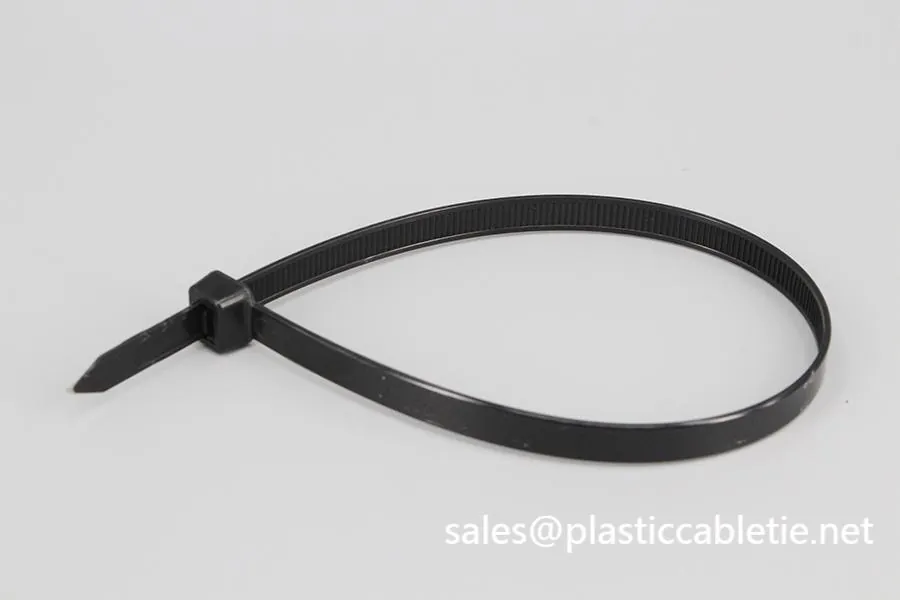 DM-2.5*200mm cable ties famous black natural colourful nylon single loop cable ties