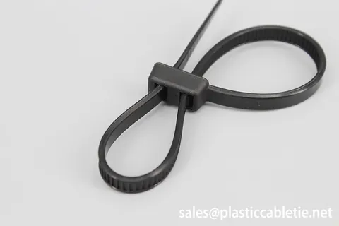 Double head lock cable tie double loop cable tie view 3