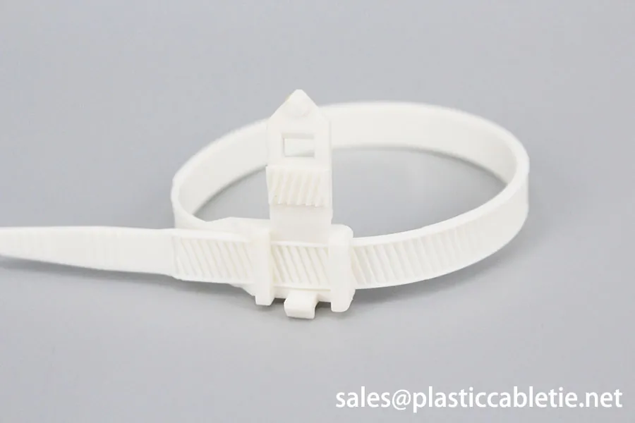 DEMOELE 9mm width Reusable cable tie with buckle