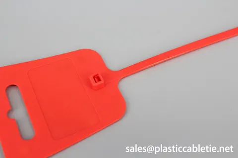 DM-4.8*252MKT marker cable tie with hang hole view 3