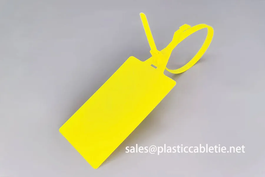 DEMOELE DM-6*300SL Medium Duty Pull Tight Security Seal with Tear Off