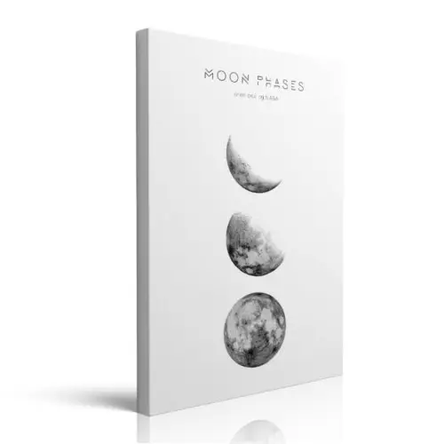 Moon Phases Picture Canvas Wall Art