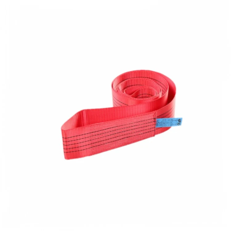 1T Endless Webbing Sling/Endless Polyester lifting slings — 5