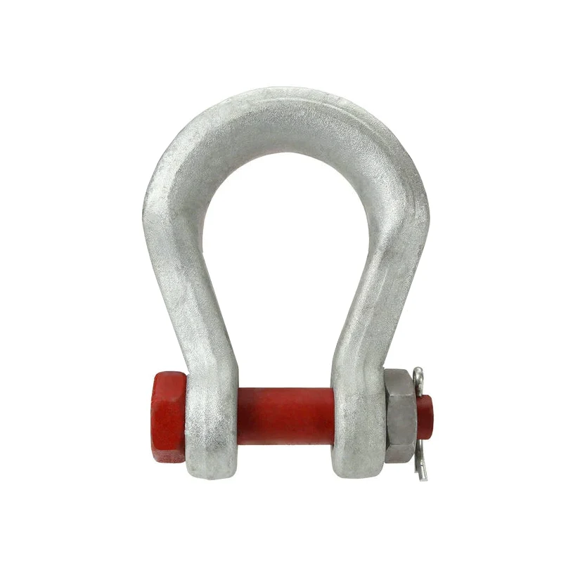 Screw Pin Chain Shackle D Type — 3